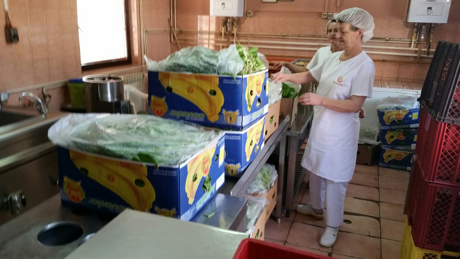 Zadruga "Agrofood" - Konjević Polje donirala 400 kilograma špinata korisnicima narodnih kuhinja