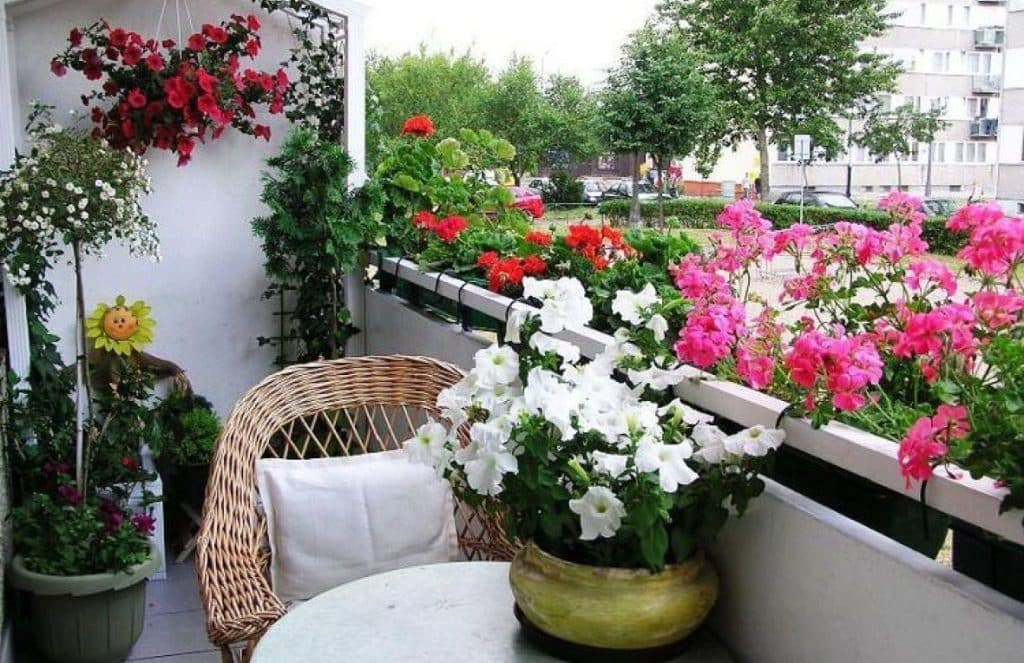 Općina Novi Grad organizira praktične radionice iz oblasti hortikulturnog uređenja balkona
